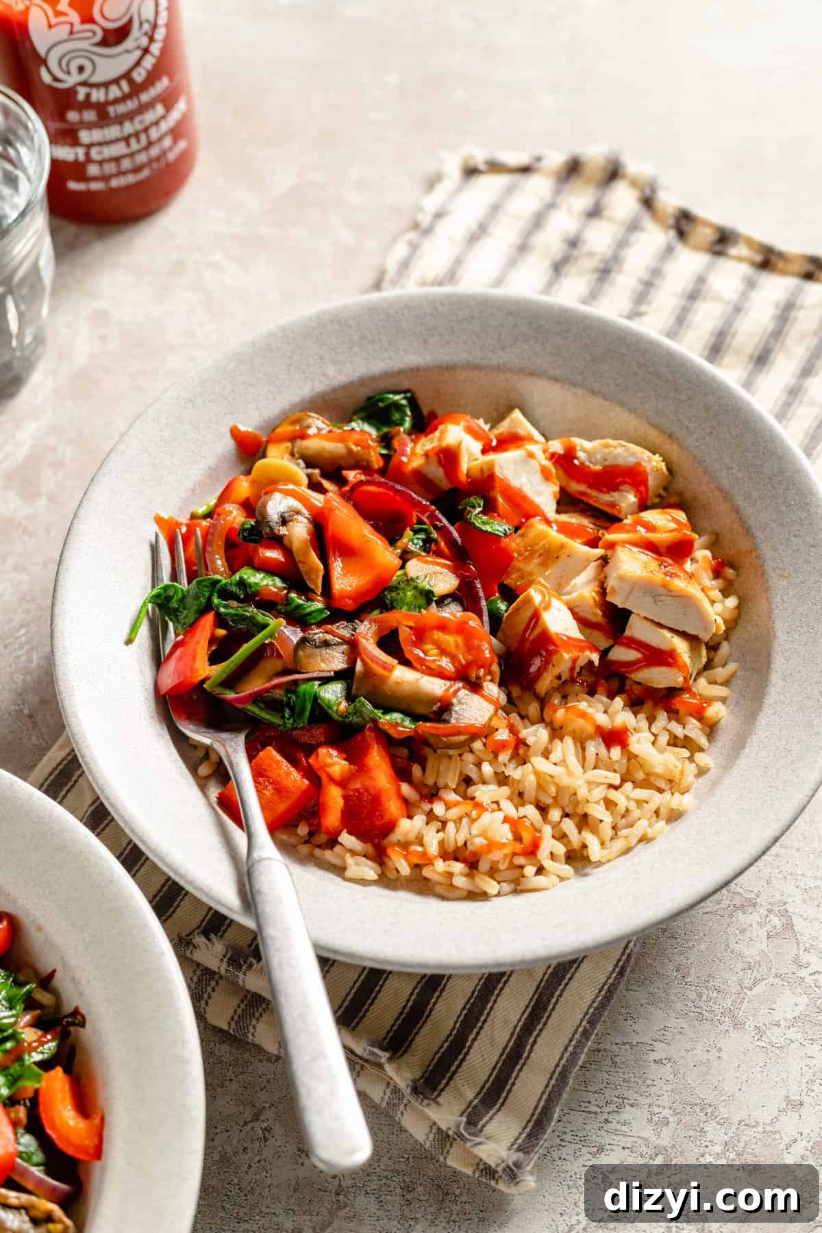 ZaZa Chicken and Rice Bowl Recipes: Flavor-Packed Ideas 3 zaza rice bowls