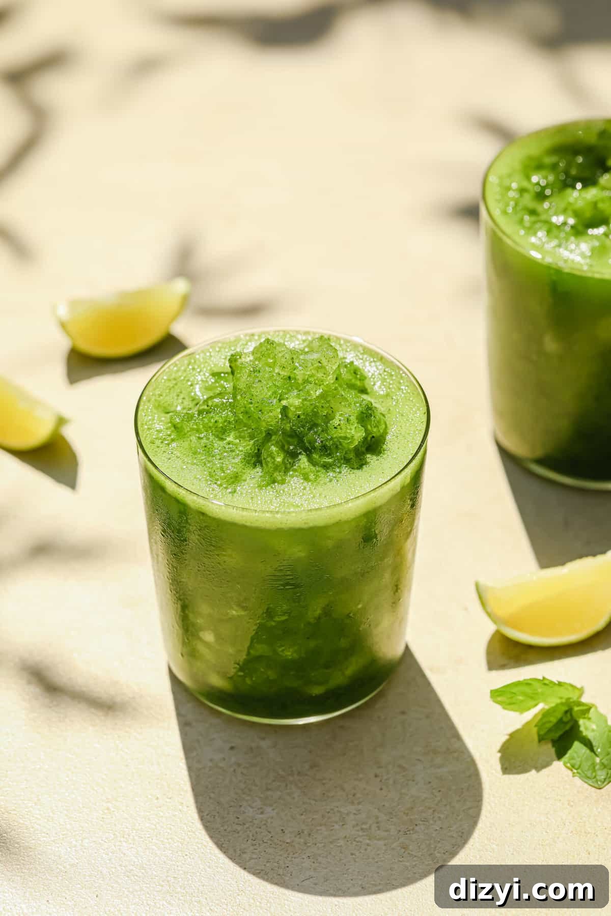 stacie’s frozen mojitos