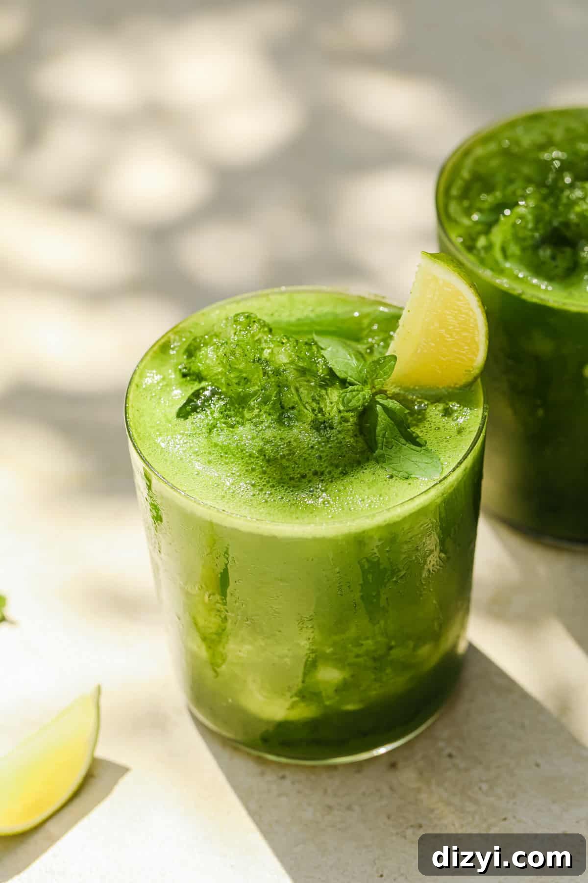 stacie’s frozen mojitos