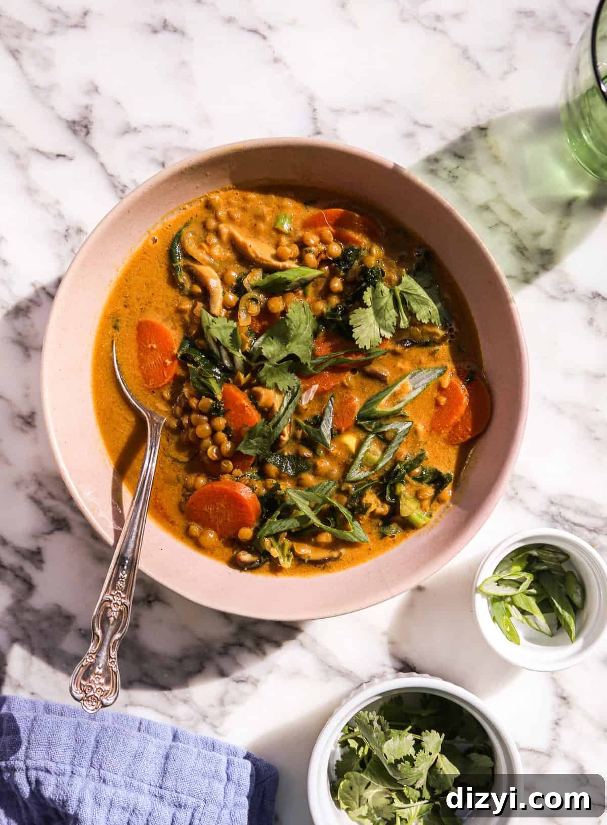 Coconut-Ginger Lentil Soup