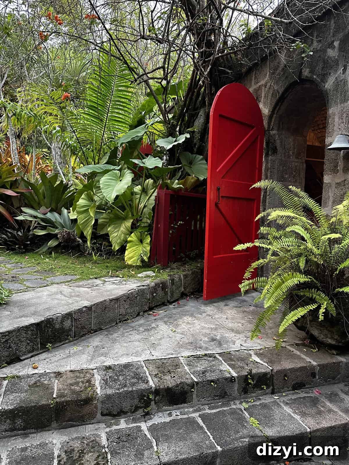 Nevis Travel Guide Nevis Travel Guide