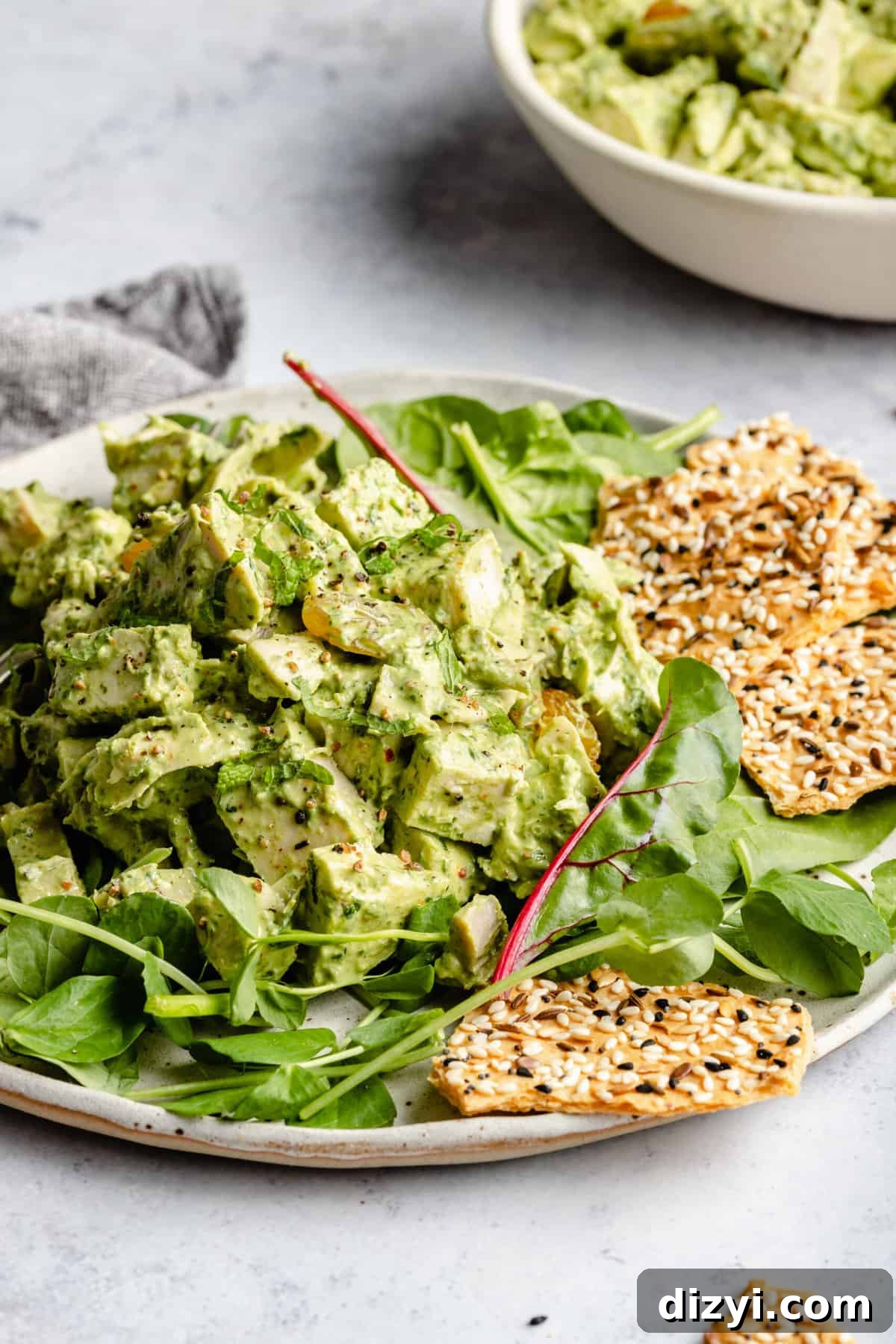 Herbed Chicken Salad with Lemon Vinaigrette 3 Herby Chicken Salad