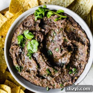 Zesty 10-Minute Black Bean Dip Recipe 7 10-Minute Black Bean Dip