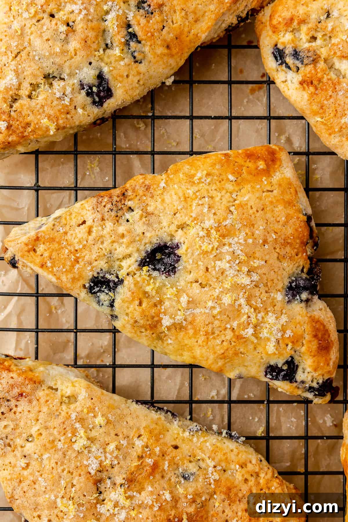 Close up of baked blueberry scone on coolling rack.