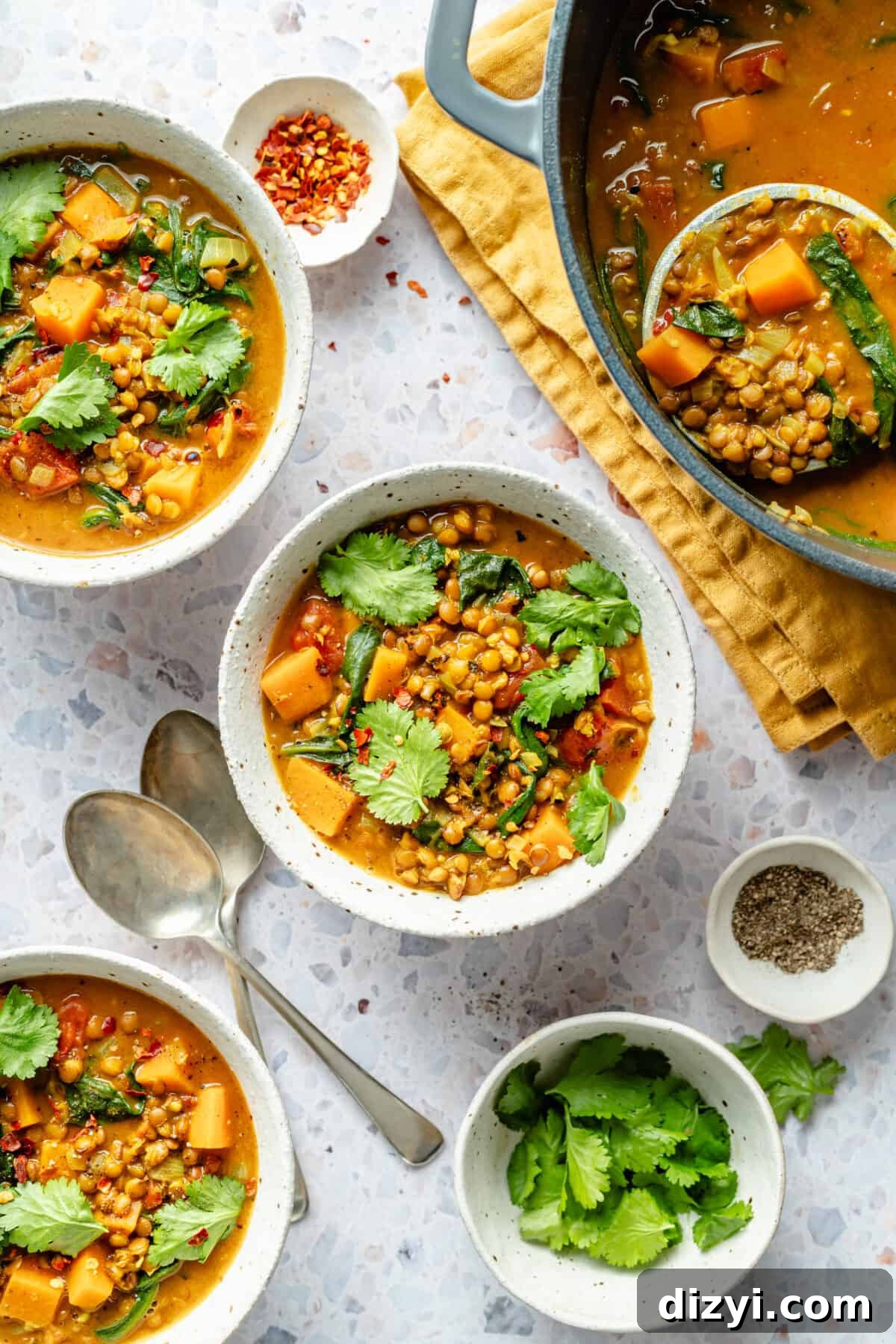Three small white bowls of Curried Lentil Soup. All garnished with cilantro. Large pot of soup peeking in.