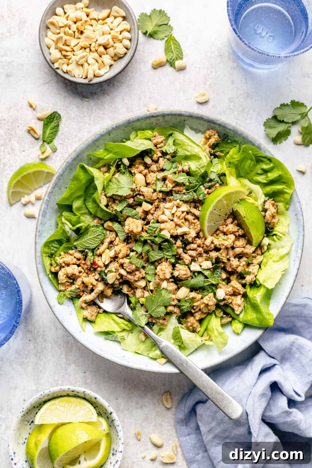 Spicy Miso Chicken Salad with Sesame Dressing 2 Spicy Miso Chicken Salad