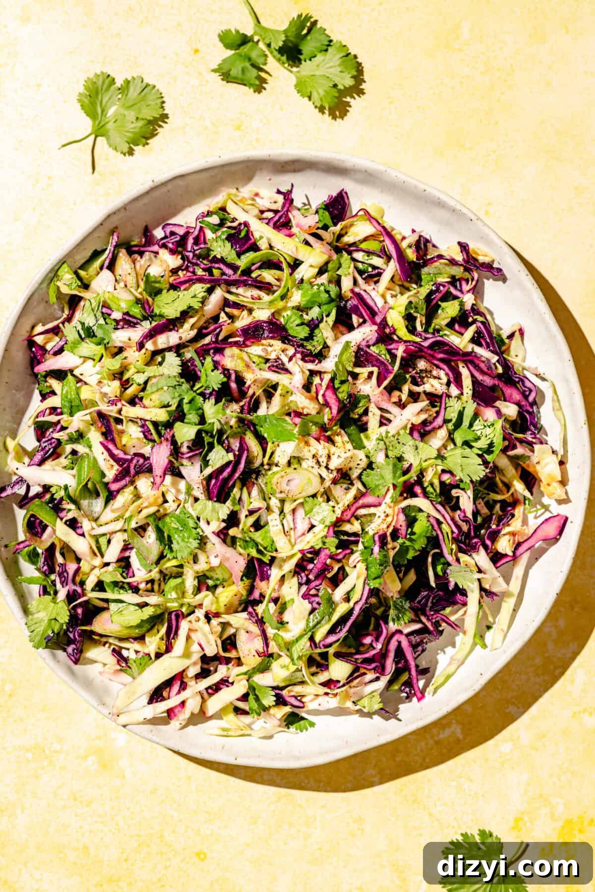 Grilled Fish Tacos with Citrus Slaw and Tangy Green Sauce 4 Slaw for Grilled Fish Tacos on low plate.