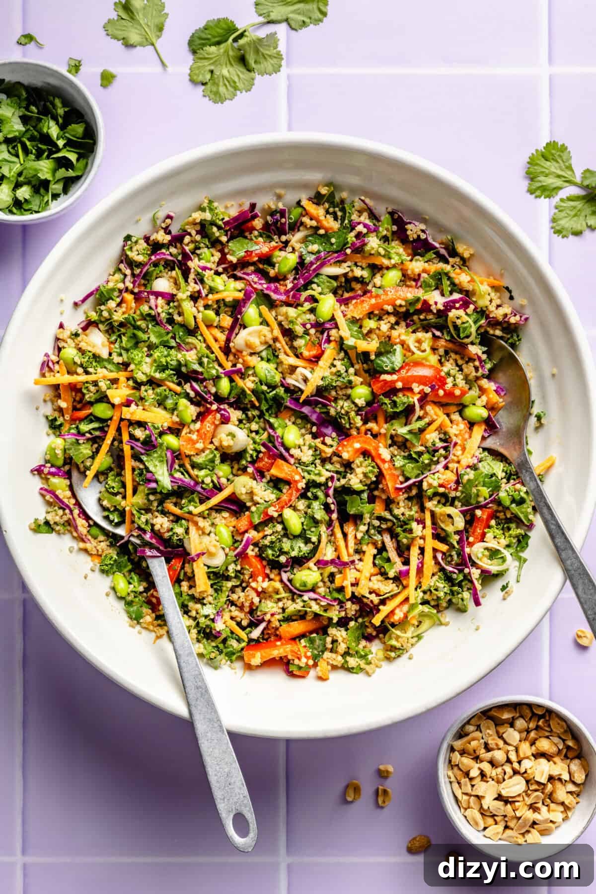 Crunchy Thai Quinoa Salad with Peanut Lime Dressing 2 A finished bowl of Crunchy Thai Quinoa Salad in a white bowl, ready to serve.
