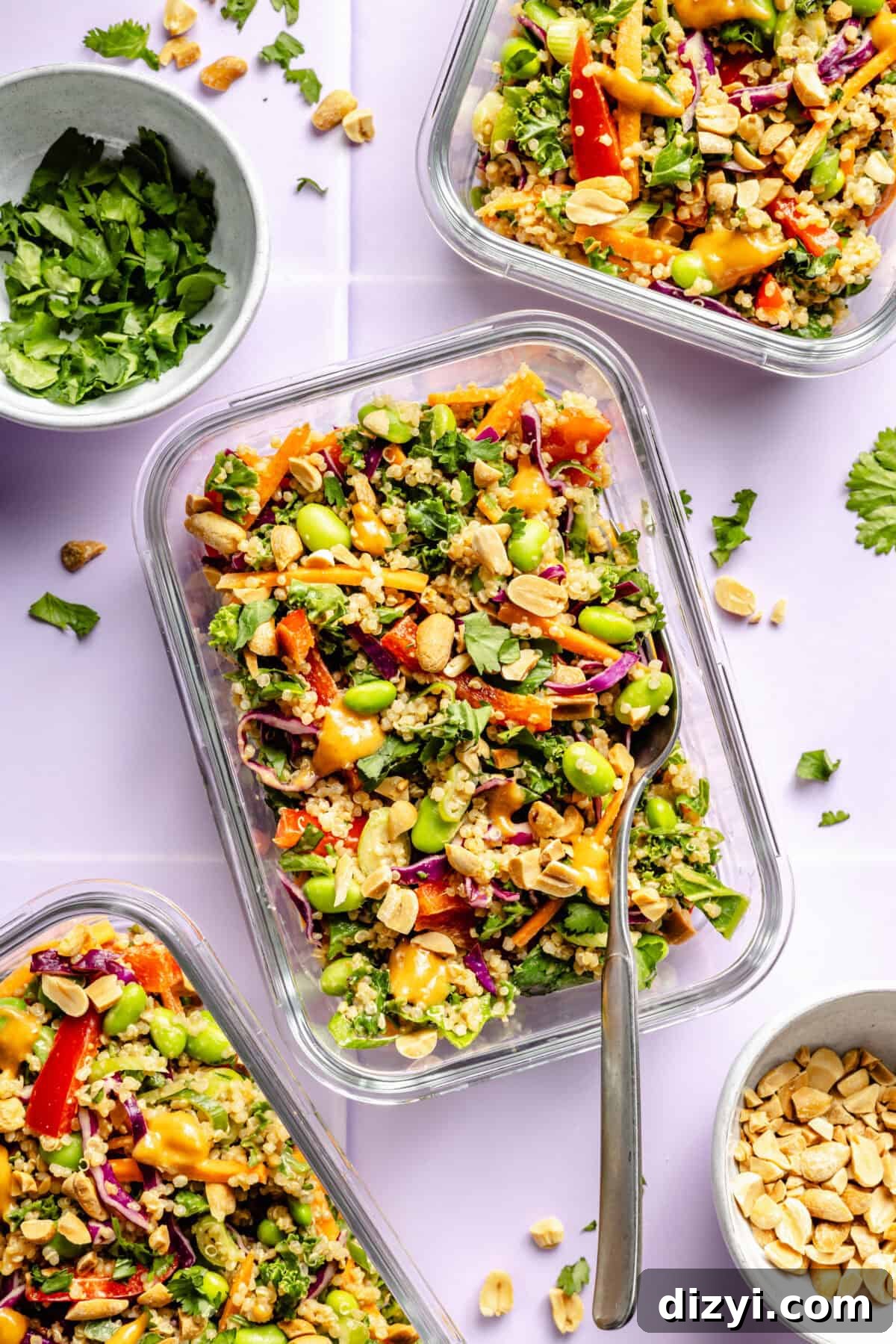Crunchy Thai Quinoa Salad with Peanut Lime Dressing 5 Airtight containers with Crunchy Thai-Inspired Quinoa Salad ready to store in the fridge.