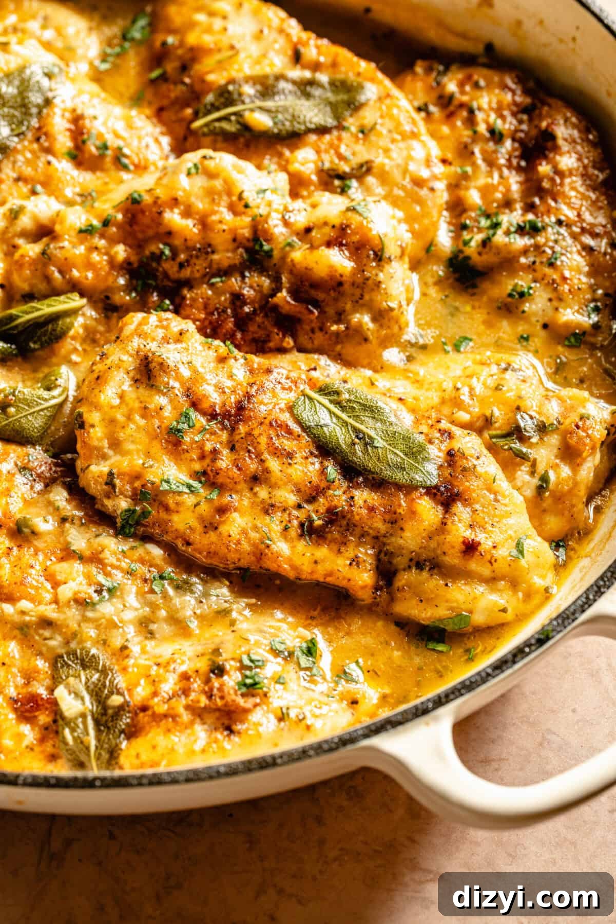 A close up of Chicken with Herby White Wine Gravy in the skillet, garnished with sage.