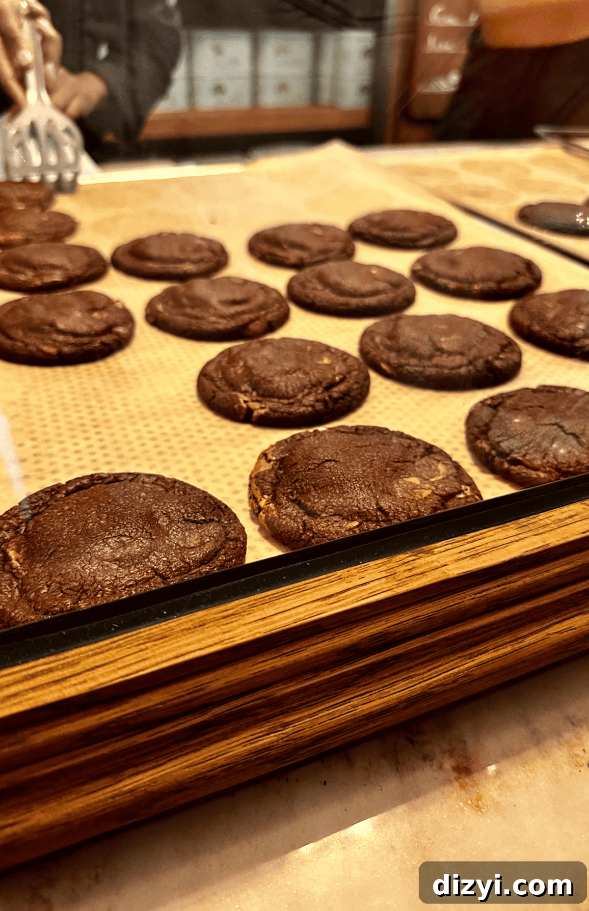 An image of the cookies at Van Stapele Koekmakerij in Amsterdam.
