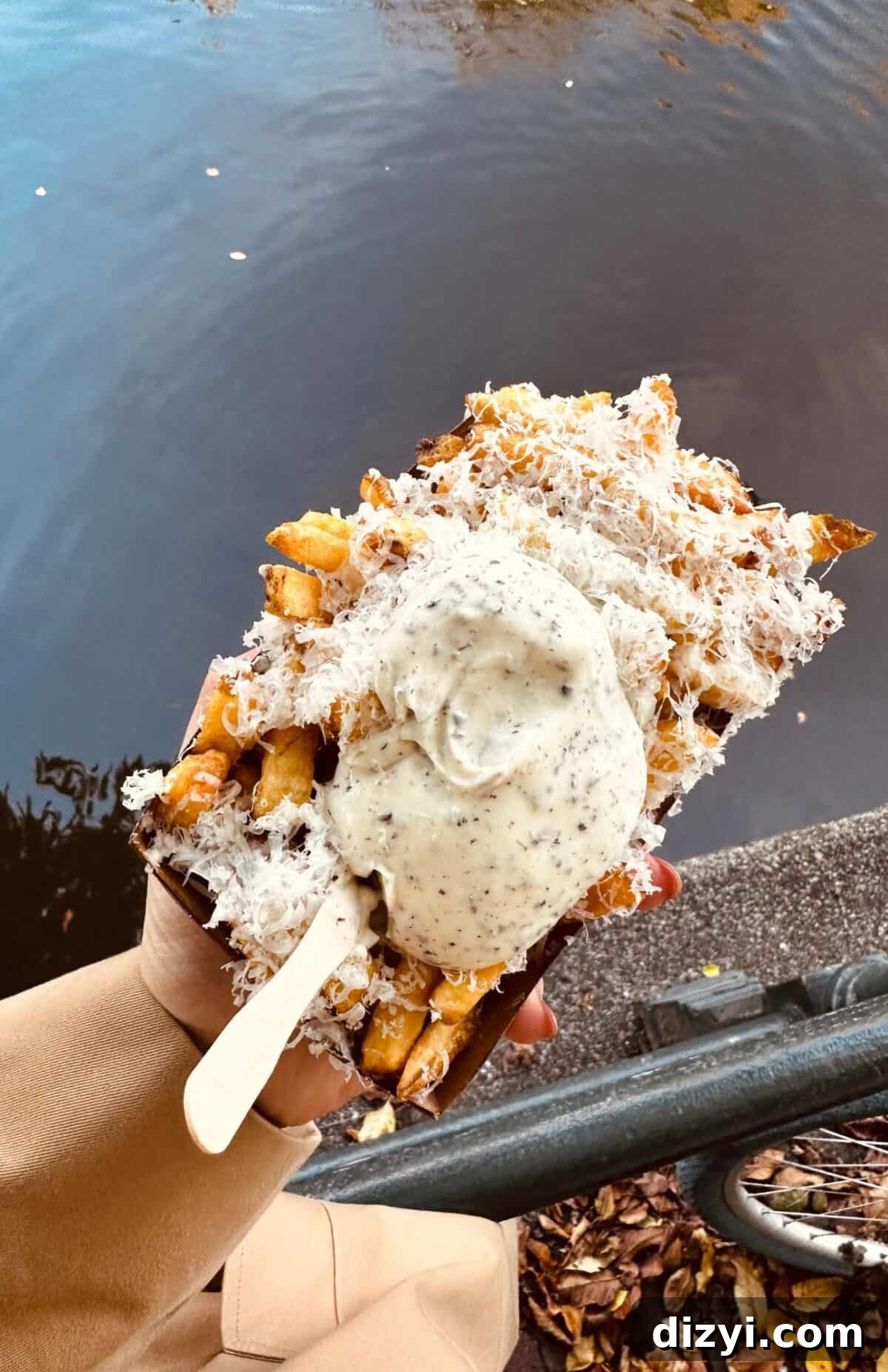 An image of fries and the canal for the Amsterdam Travel Guide.