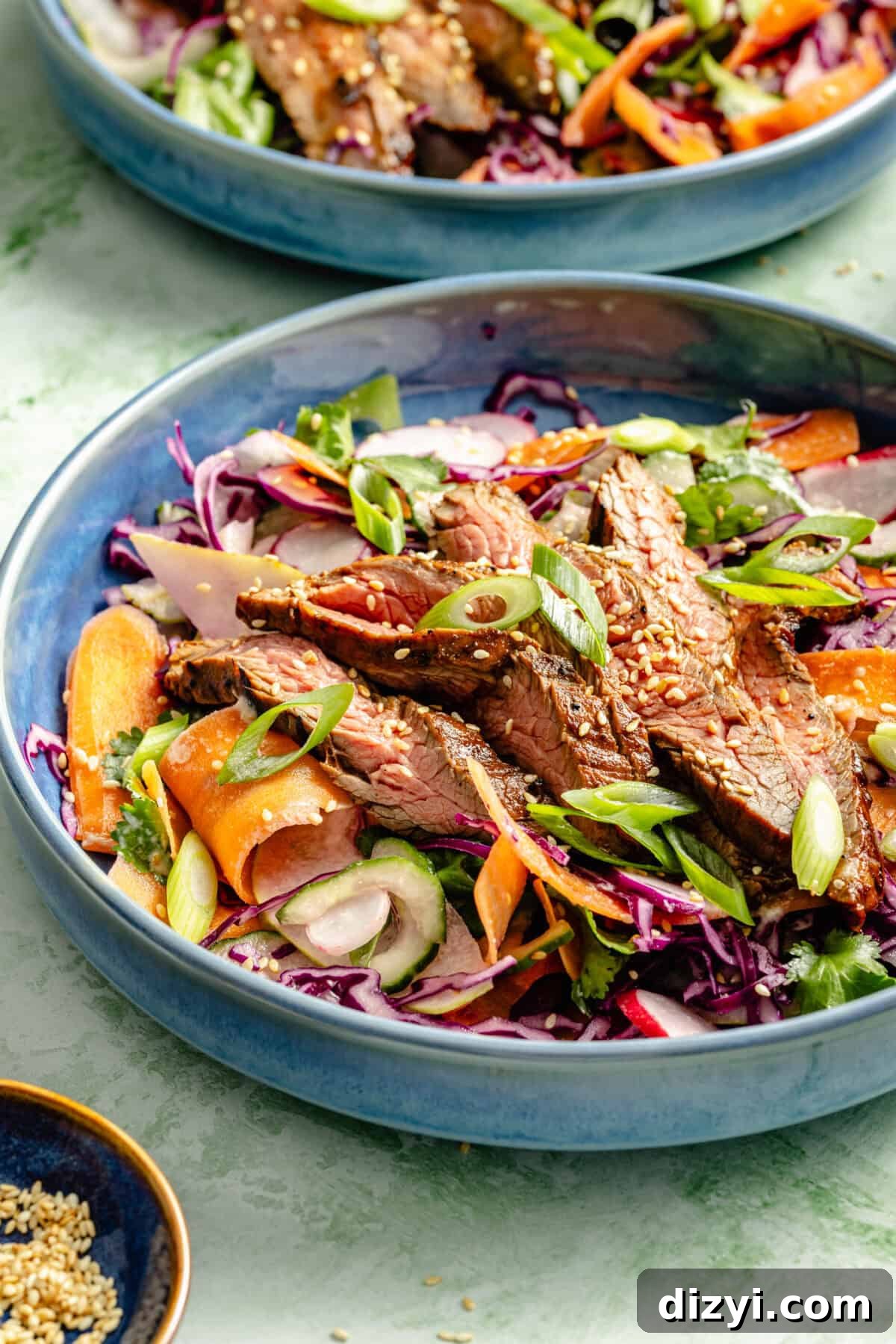 Korean BBQ Skirt Steak with Shaved Vegetable Salad 4 Korean-Inspired Skirt Steak and Shaved Veggie Salad plated in two blue bowls.