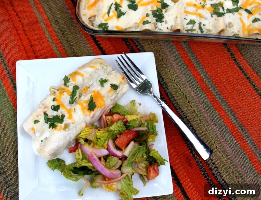 Skinny Sour Cream Chicken Enchiladas