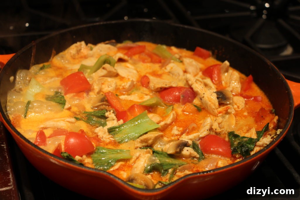 Thai Red Curry with Chicken and Veggies