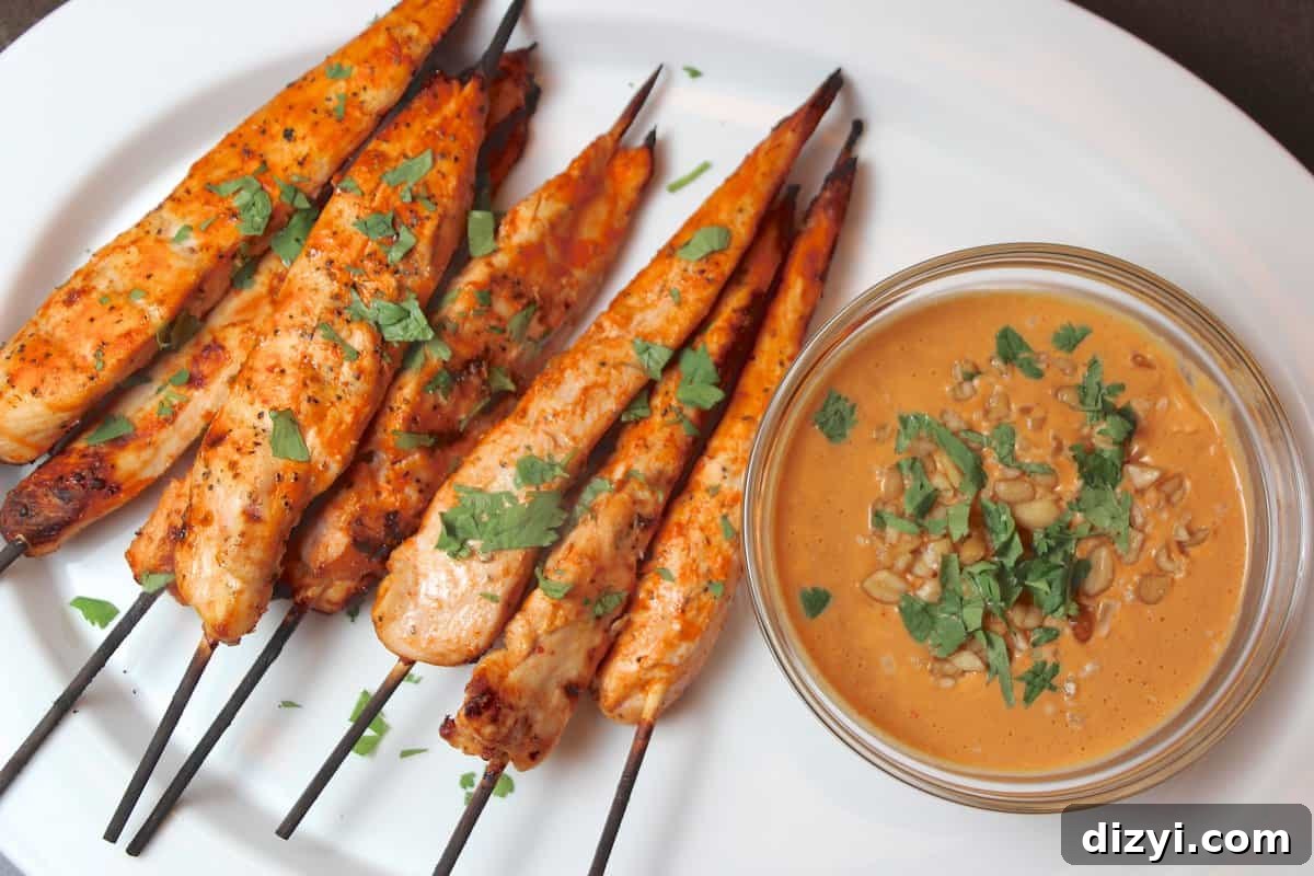 Grilled Thai Chicken Satay Recipe with Spicy Peanut Sauce 2 Thai Chicken Satay with Spicy Peanut Sauce