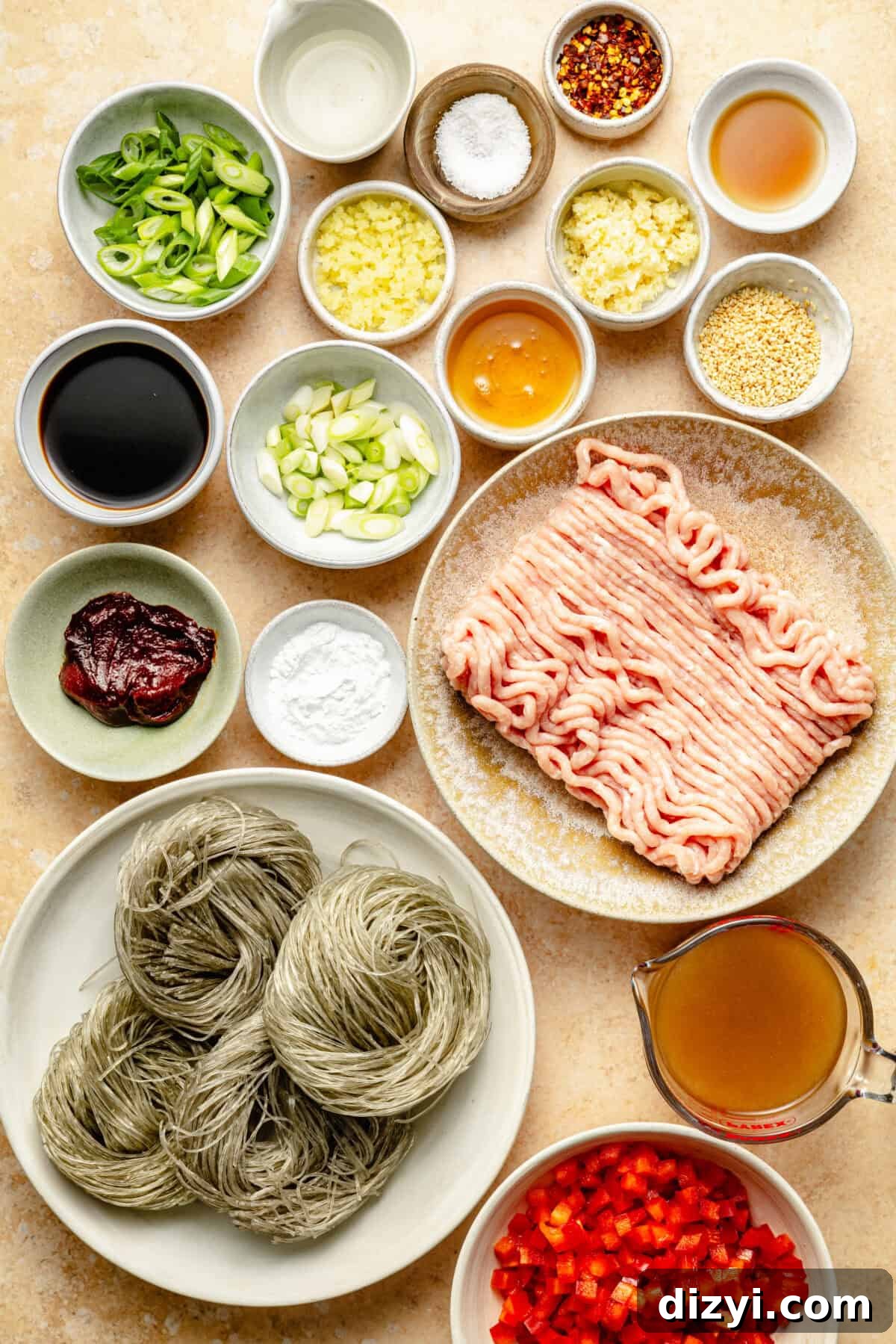 a flat lay of ingredients including ground chicken, glass noodles, scallions, garlic, ginger, and more