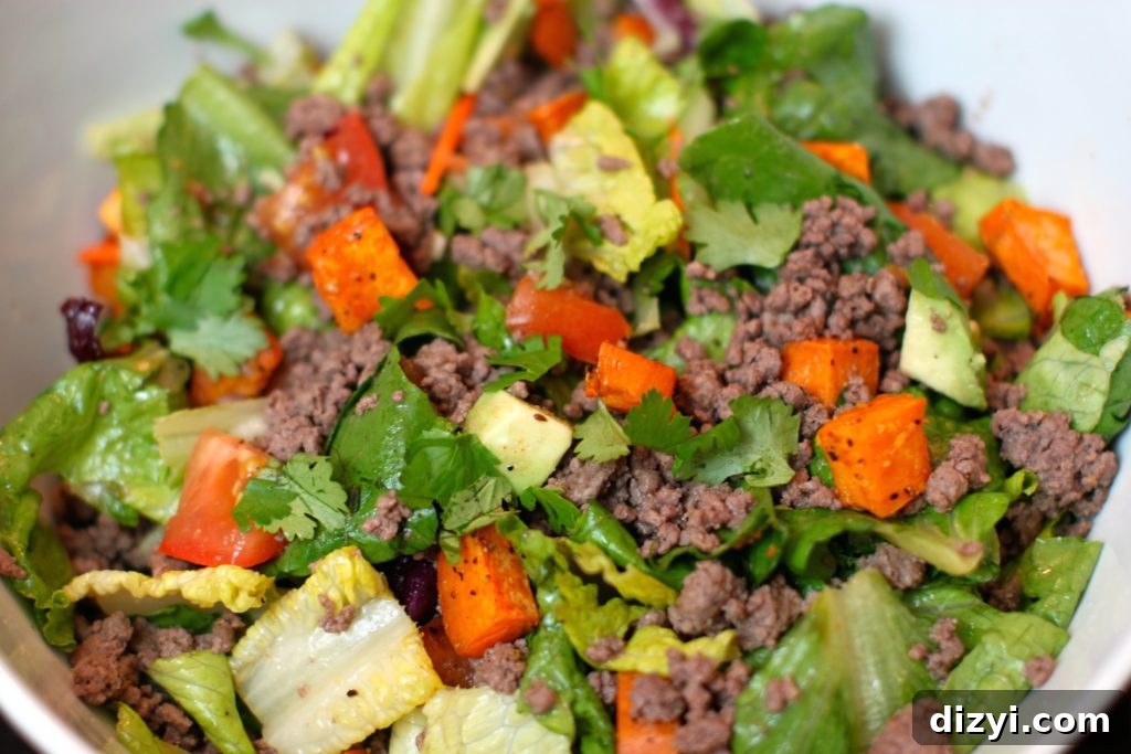 Spicy Ground Bison Salad