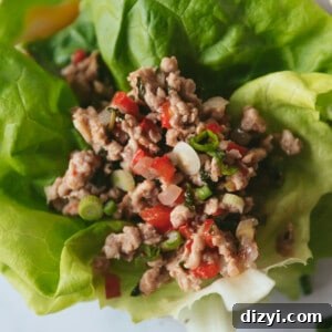 Thai Basil Chicken Lettuce Cups with Garlic and Lime 3 Thai Basil Chicken Lettuce Cups