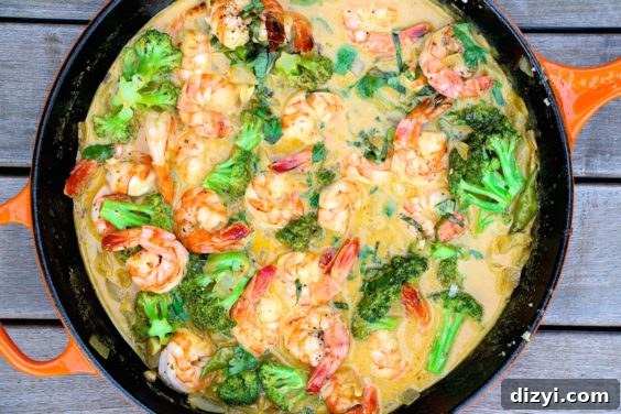 Creamy Coconut Curry Shrimp and Broccoli Recipe 9 IMG_9151
