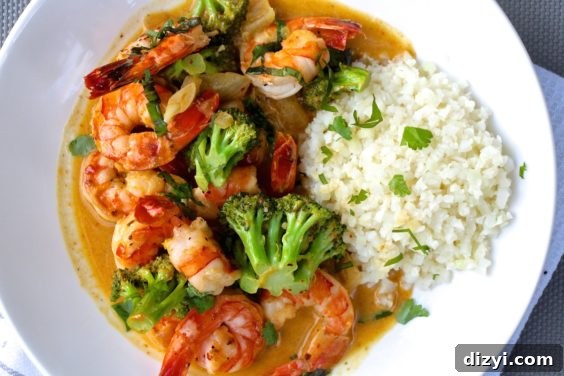 Creamy Coconut Curry Shrimp and Broccoli Recipe 10 IMG_9157
