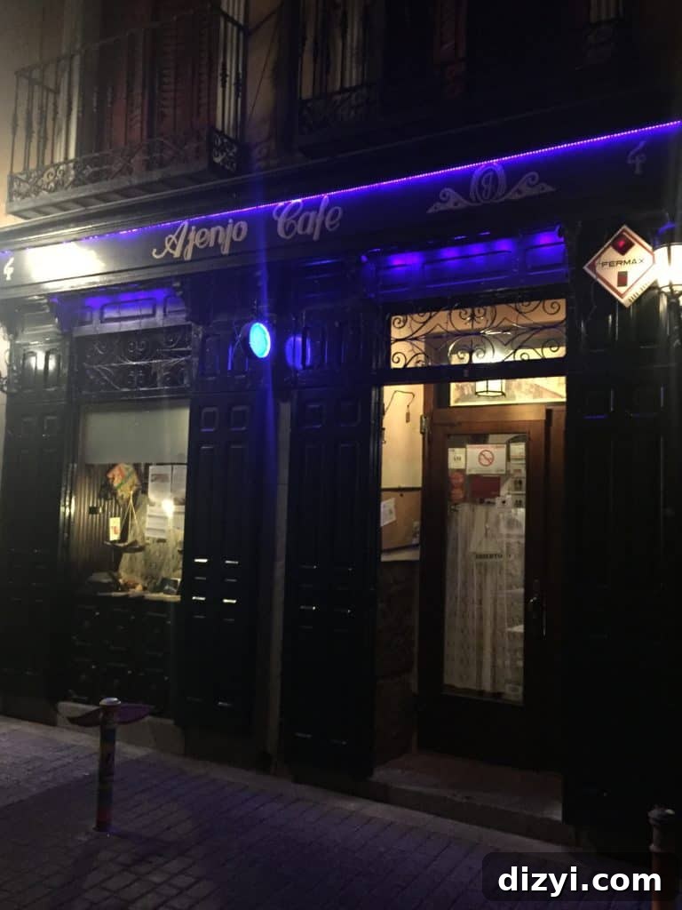 Essential Madrid Travel Guide: Top Sights, Tips and Itineraries 4 IMG_4778