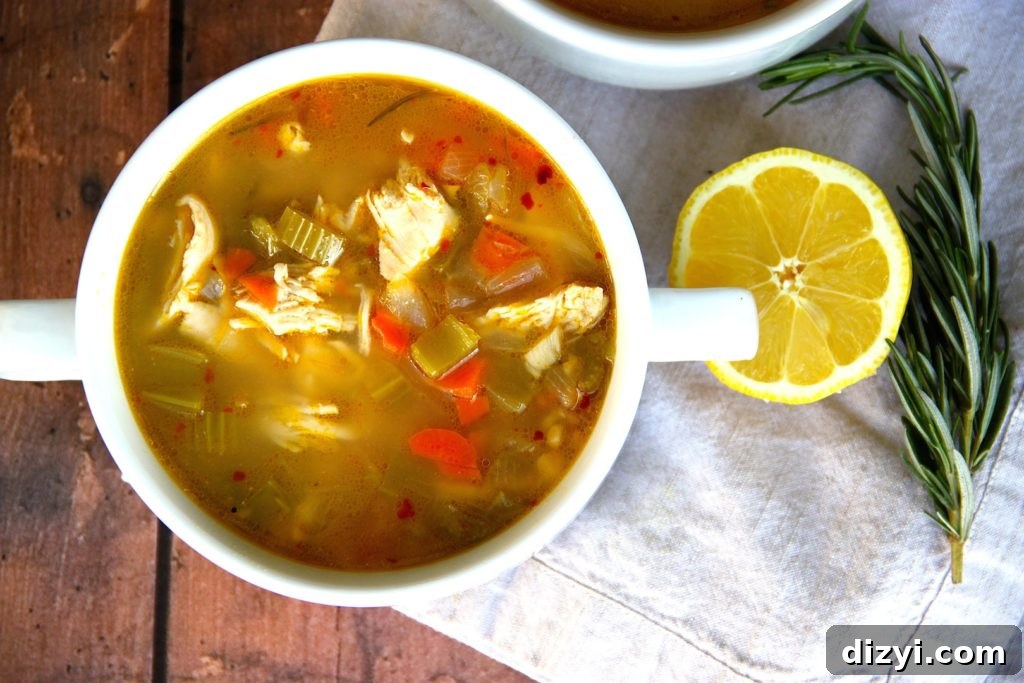 Lemon Rosemary Chicken Soup Recipe: One-Pot Comfort 3 IMG_7749