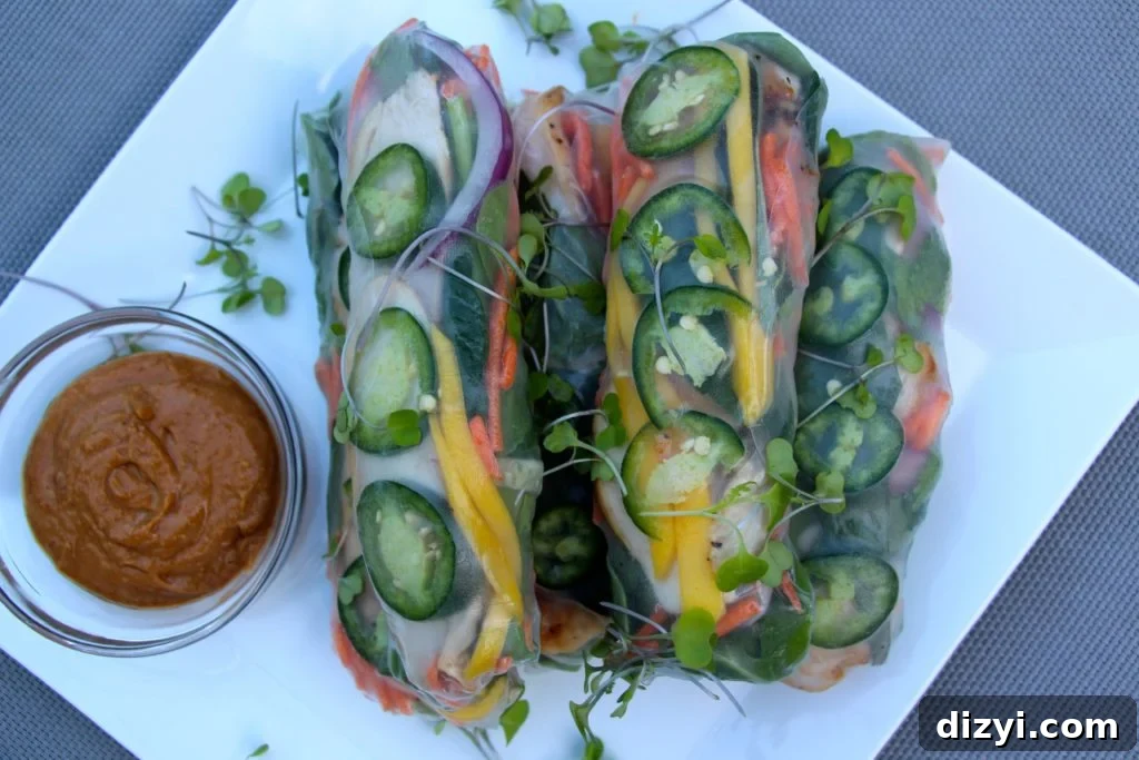 Spicy Chicken and Mango Spring Rolls Recipe 3 img 5872 2