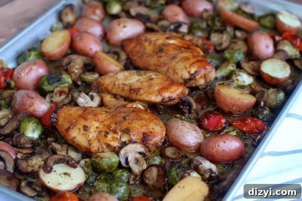 One-Pan Balsamic Chicken Recipe 2 IMG_7863