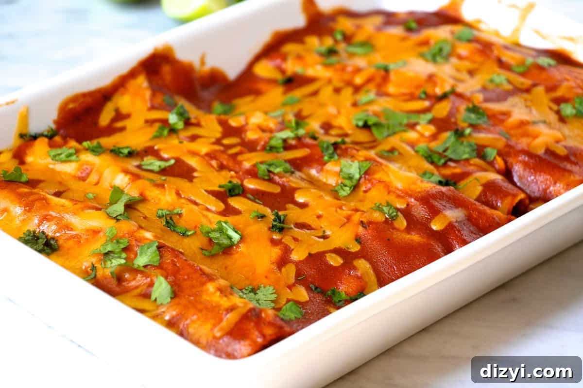 Baked Chipotle Chicken Enchiladas