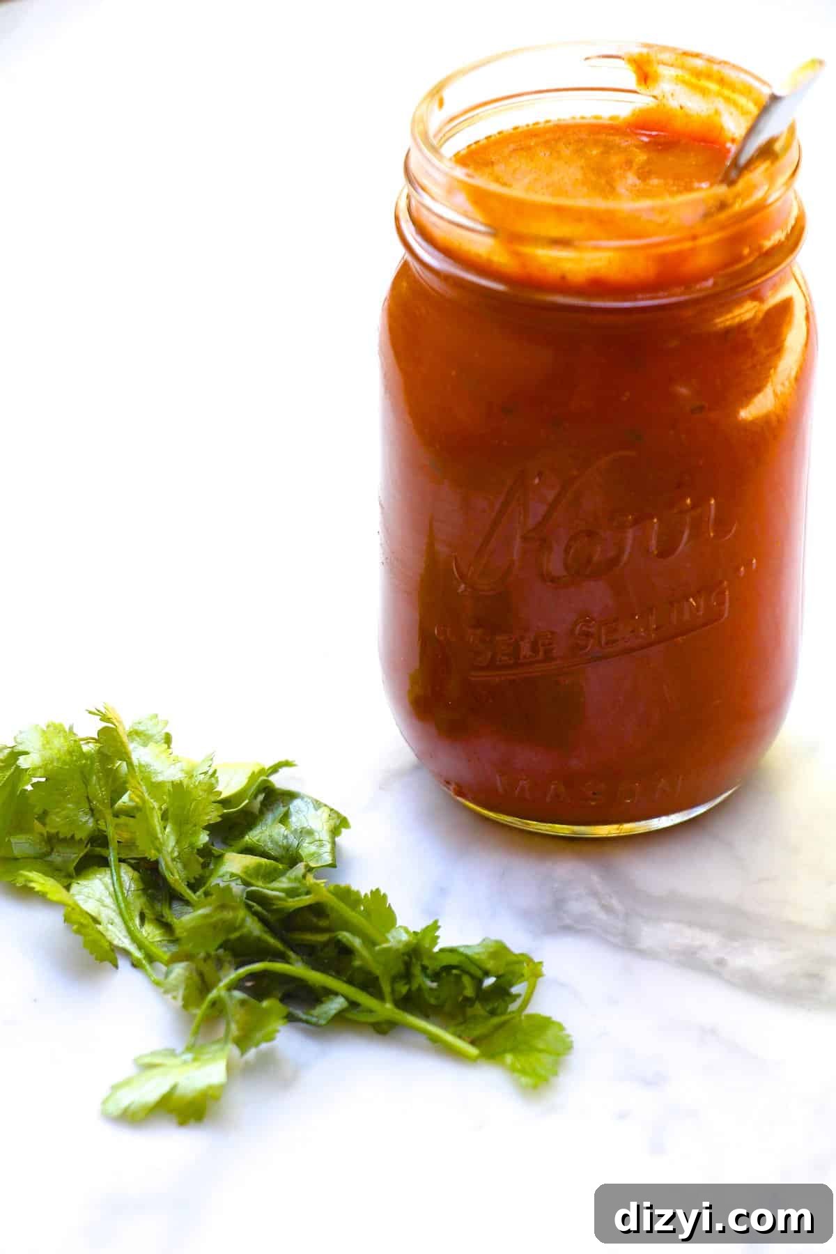 Easy Chipotle Enchilada Sauce