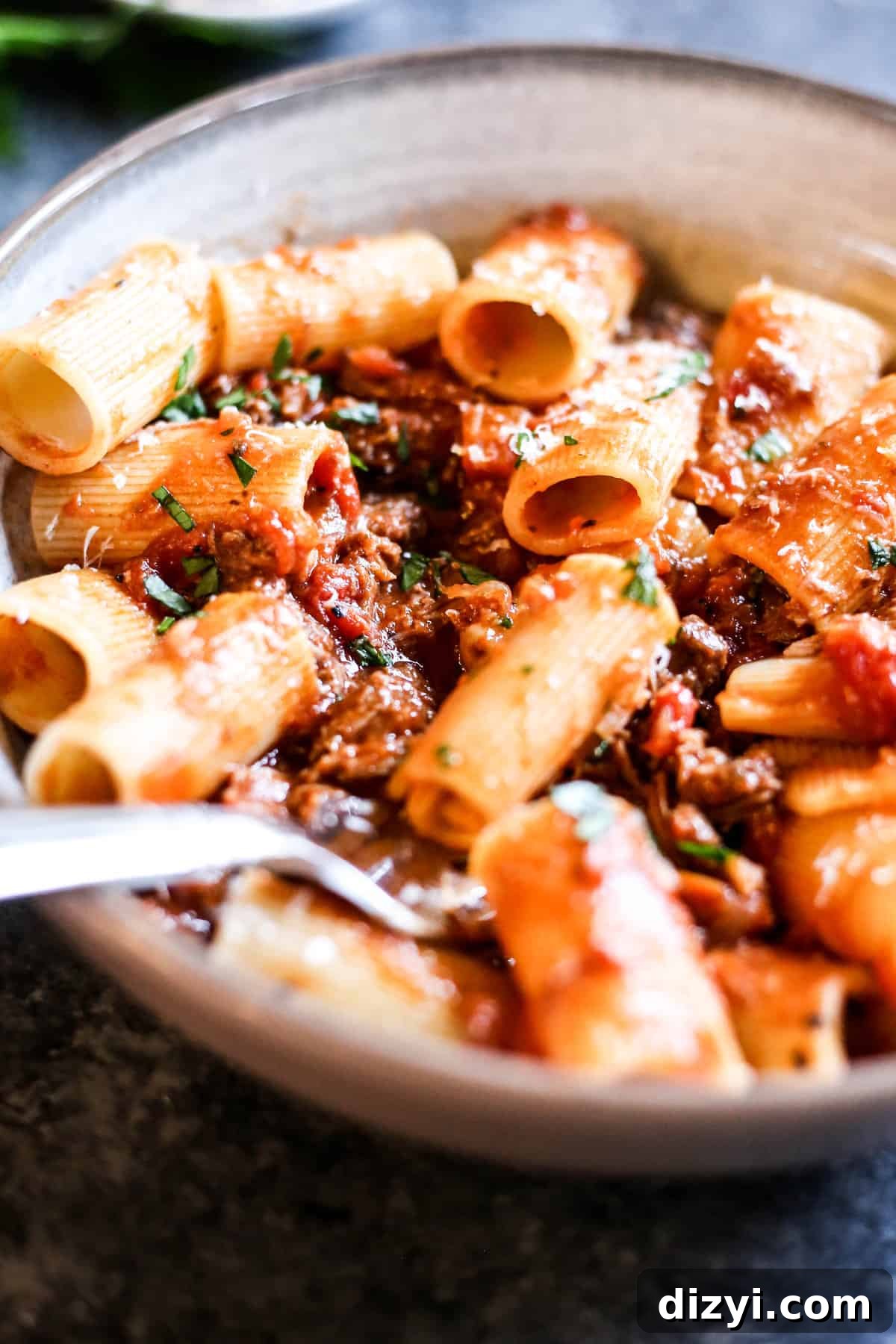 Lamb Ragu With Rigatoni