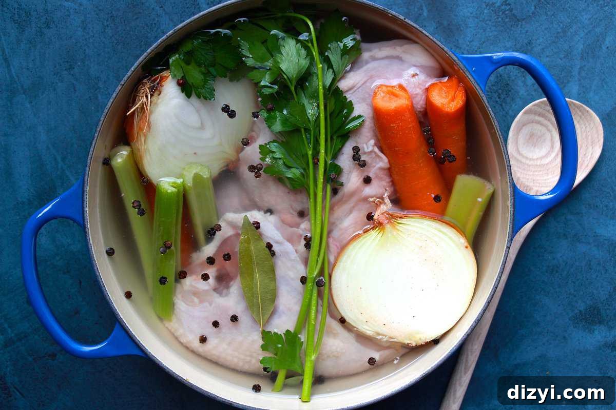 One-Pot Shredded Chicken and Broth Recipe 3 img 8522 2