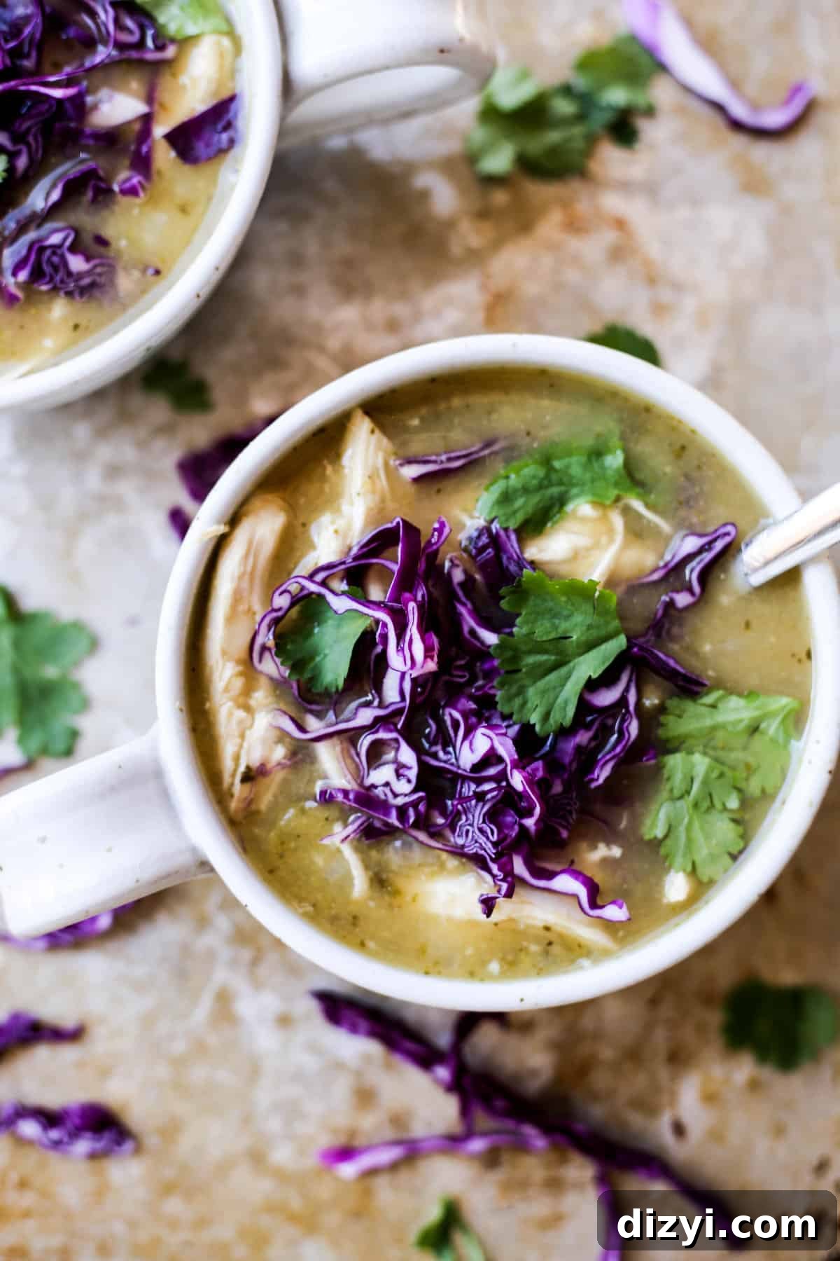Chicken Tomatillo Soup