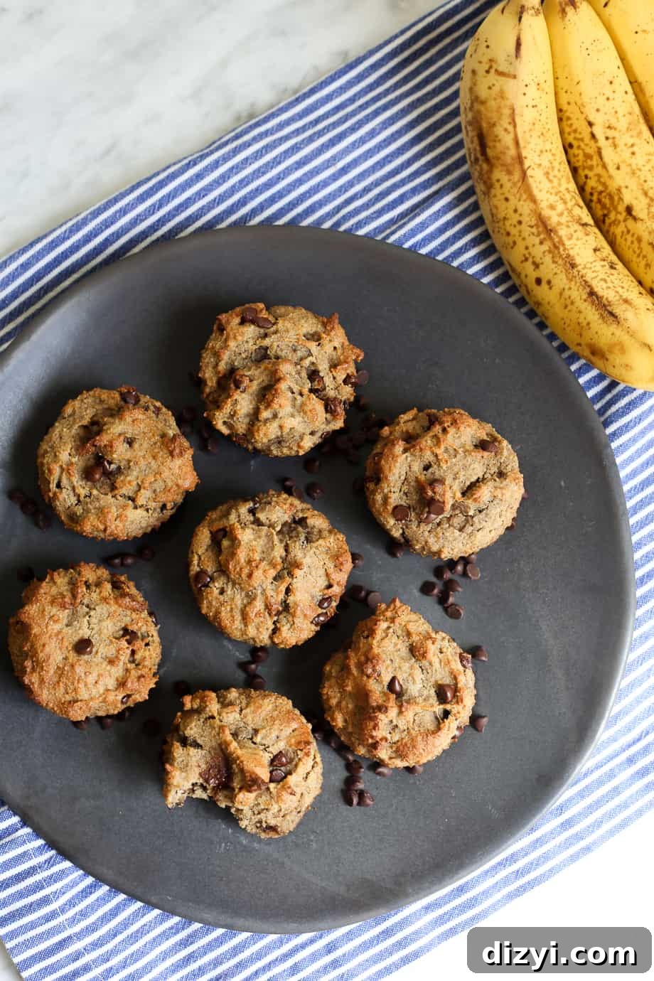 Paleo Protein Banana Muffins with Chocolate Chips