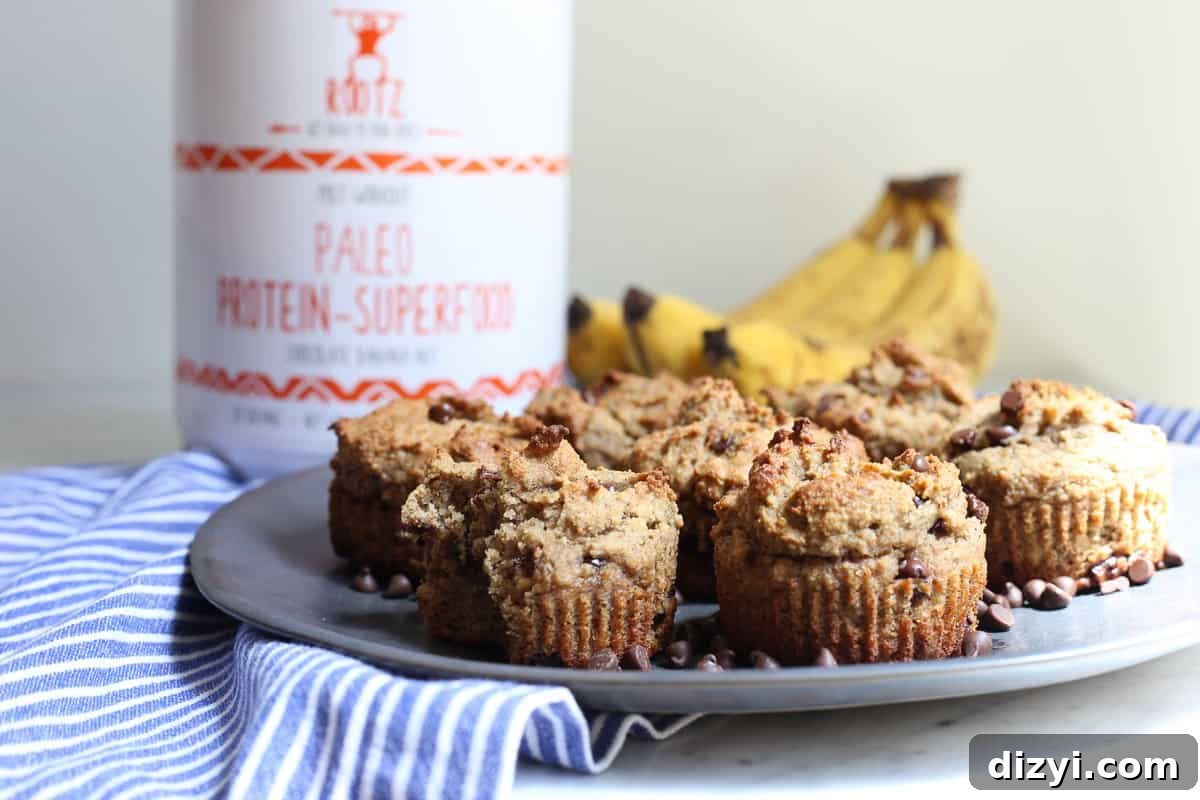 Paleo Protein Banana Muffins with Chocolate Chips close-up