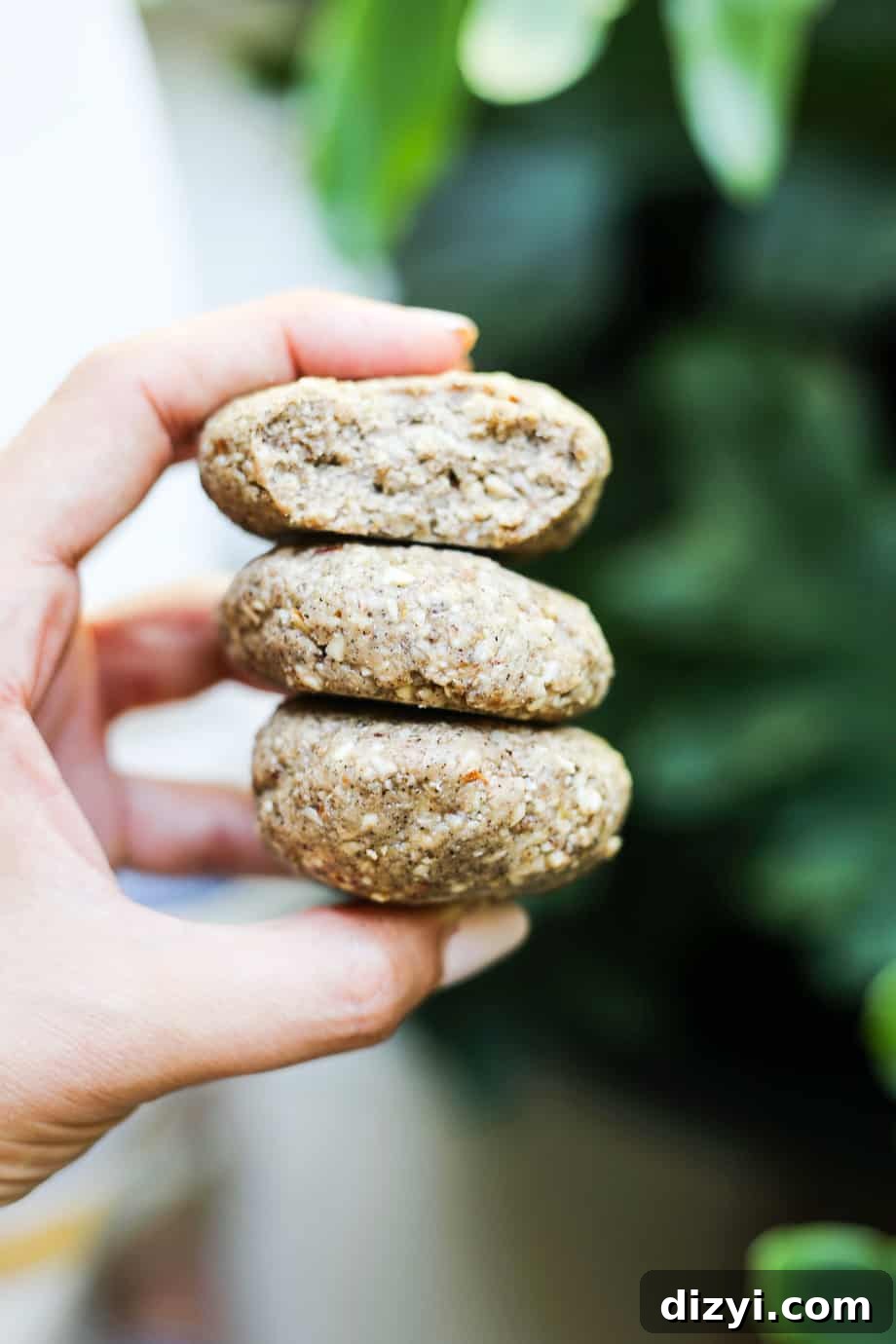 No-Bake Paleo Protein Bites Recipe 2 Paleo Protein Bites
