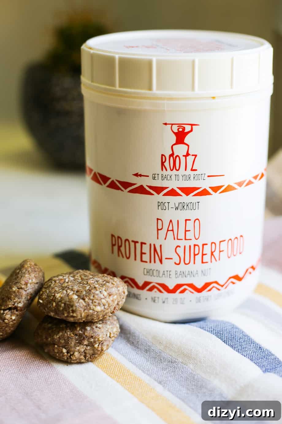 No-Bake Paleo Protein Bites Recipe 4 img 9129 3