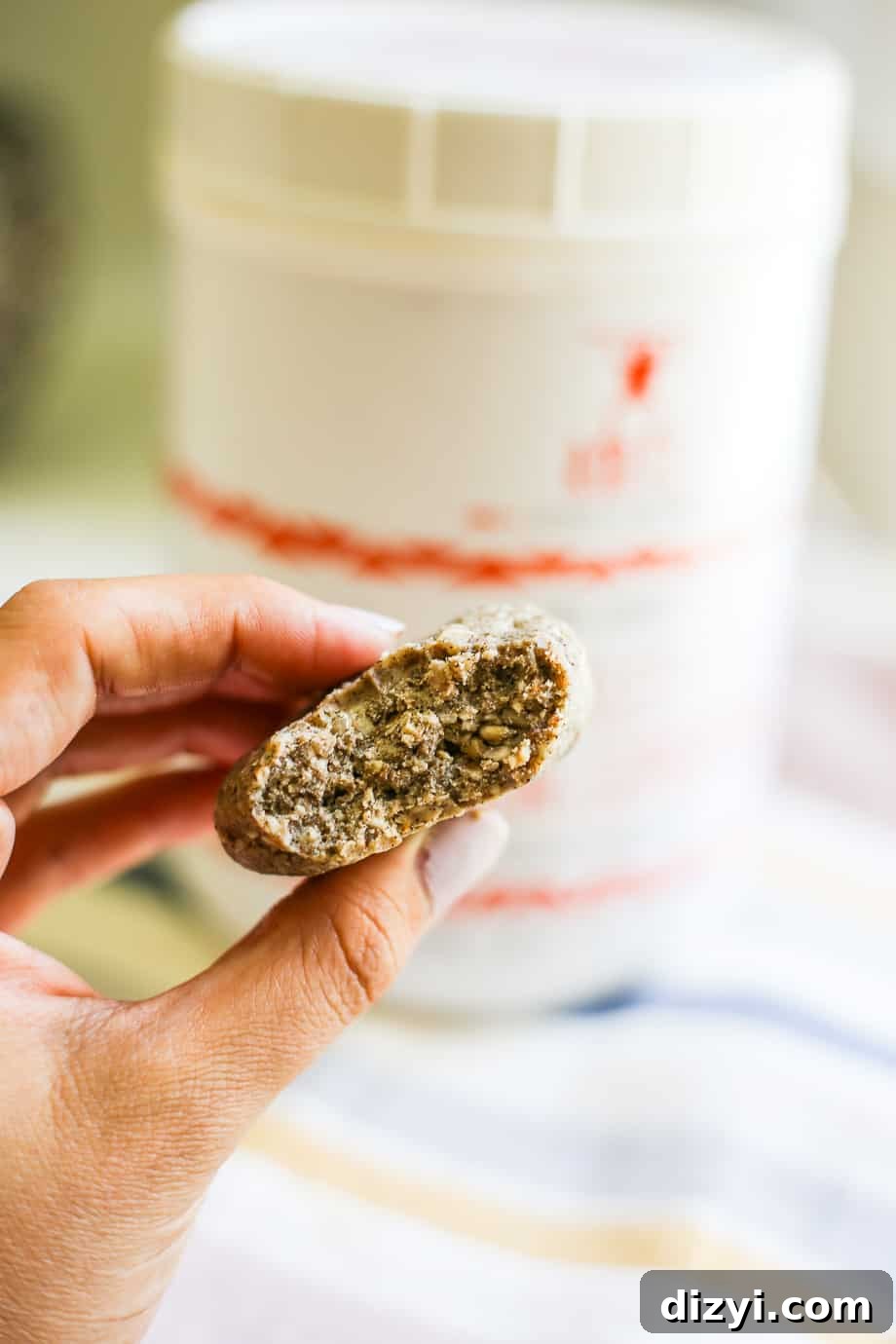 No-Bake Paleo Protein Bites Recipe 6 img 9129 5