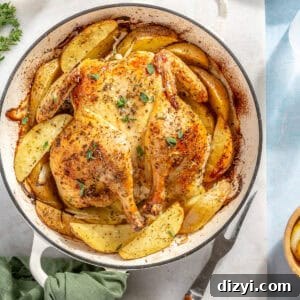 Whole Greek Roast Chicken with Lemon Potatoes 9 Whole Roasted Greek Chicken and Potatoes in white dutch oven.