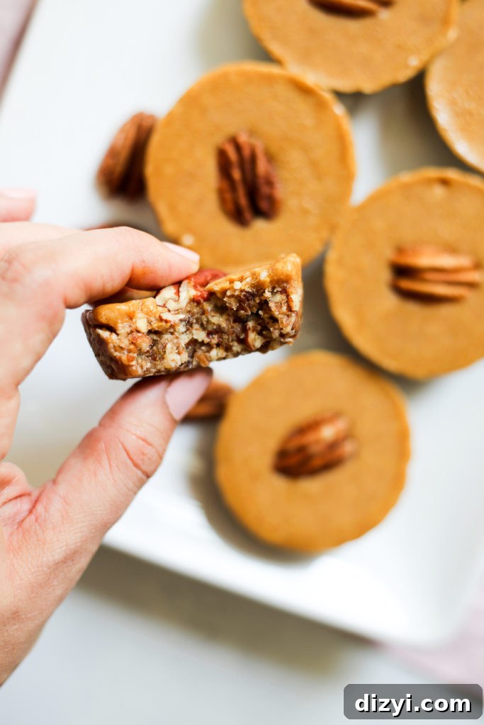 No-Bake Pumpkin-Pecan Pie Paleo Bites