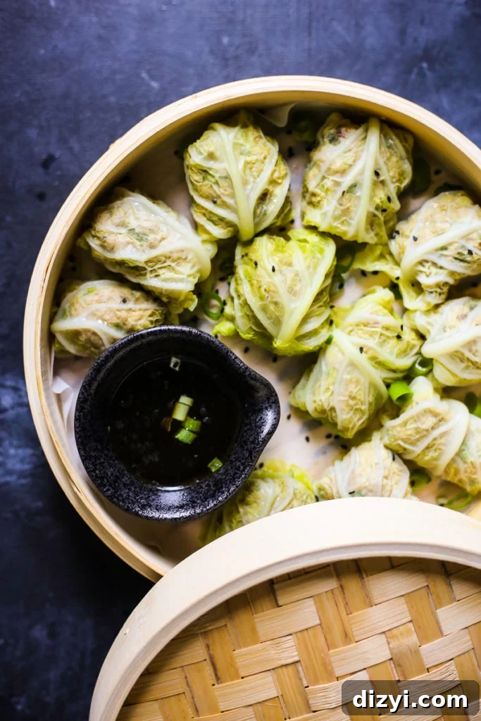 Pork Cabbage Dumplings