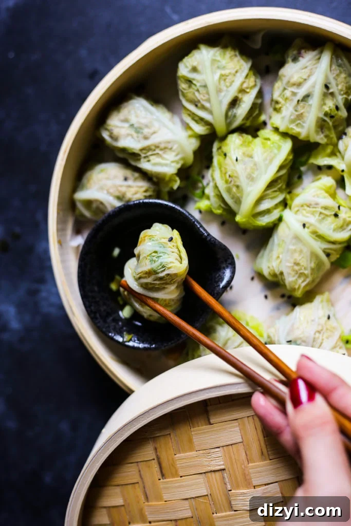 Pork Cabbage Dumplings