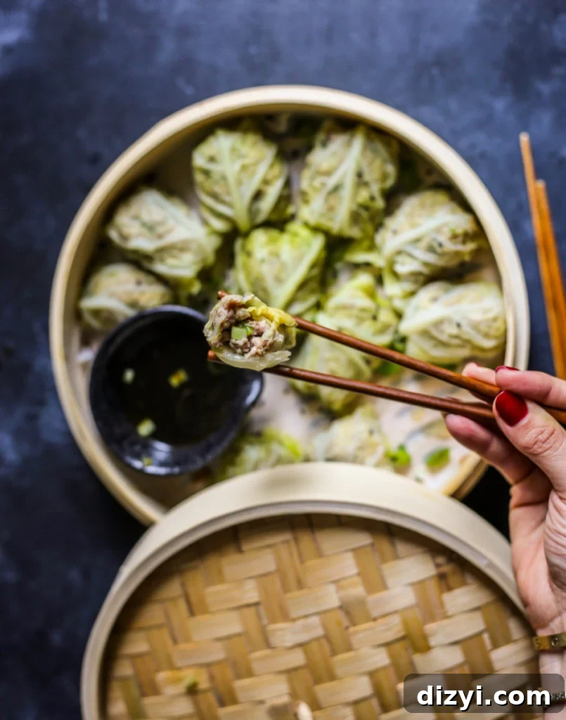 Pork Cabbage Dumplings