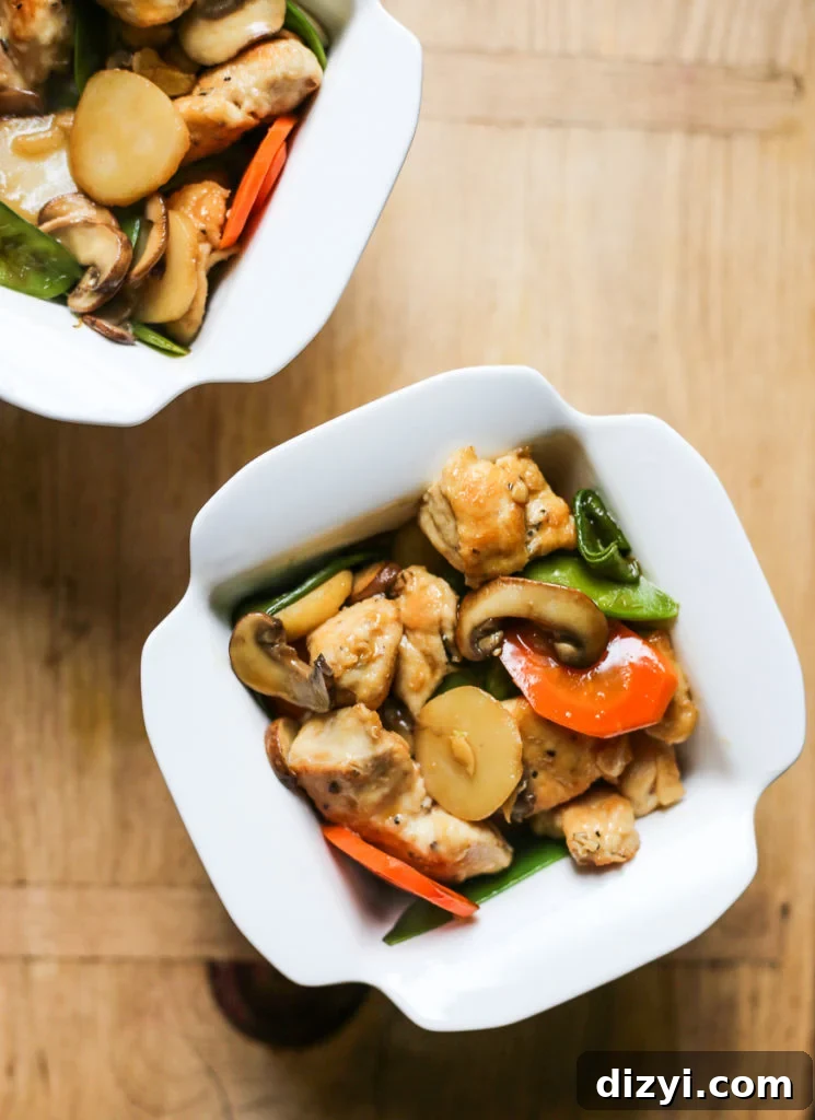 Garlic Soy Chicken and Mushroom Stir Fry 4 Chicken and Mushroom Stir Fry