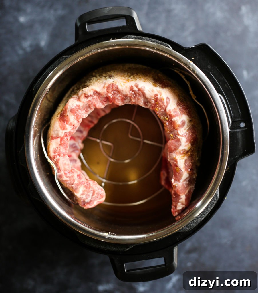 Instant Pot Blueberry BBQ Ribs Recipe 3 Instant Pot Blueberry Barbecue Ribs