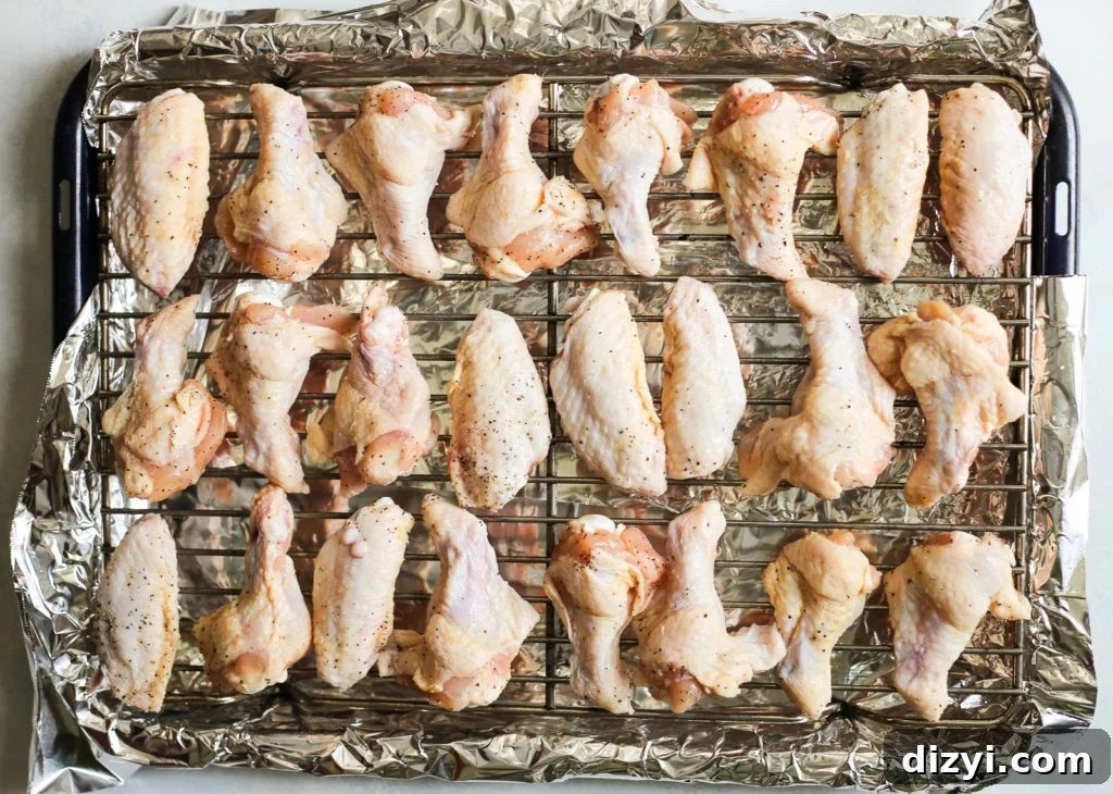 Crispy Salt and Vinegar Chicken Wings Recipe 4 img 9986 3